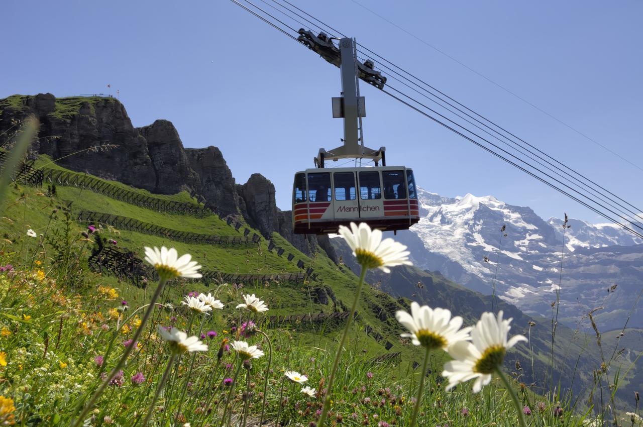 Pasta&More Bed&Breakfast Wengen Exterior foto